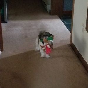 Meet your Posher, Karen